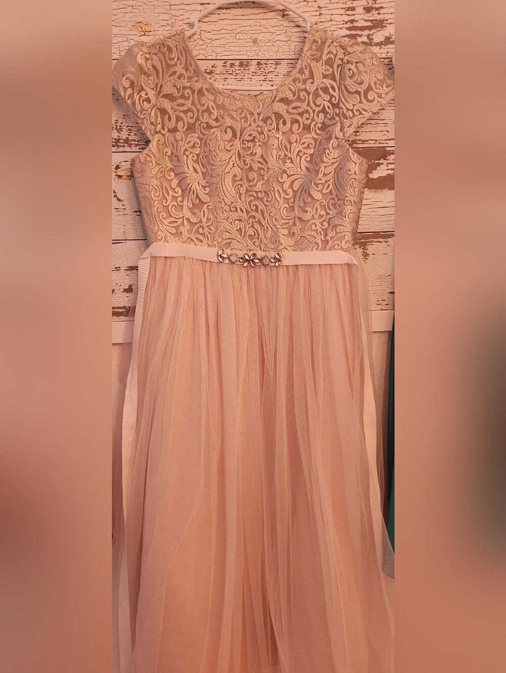 Rare Editions Blush Pink Lace & Tulle Dress with Jeweled Belt